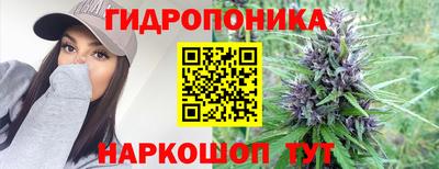 spice Гусиноозёрск