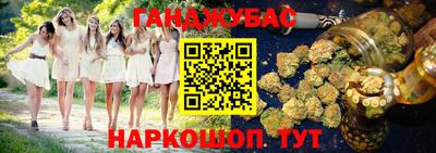 амф Гусев