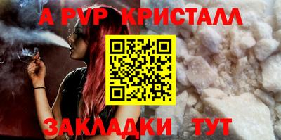амф Гусев
