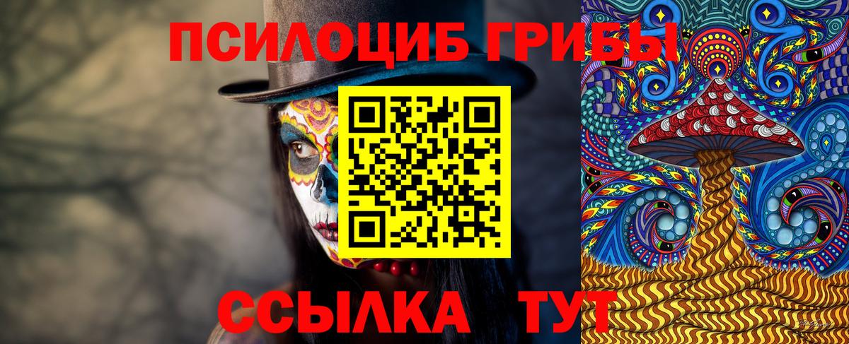 Назрань  Галлюциногенные грибы мухоморы  Галлюциногенные грибы Psilocybe  Вход с VPN 